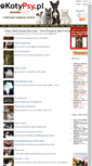 Mobile Screenshot of porady.kotypsy.pl